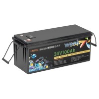 Литий-ферумный аккумулятор Weekender LiFeP04 25.6V 100Аh