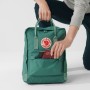 Рюкзак Fjallraven Kanken Forest Green