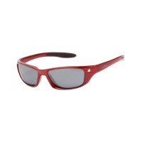 Очки Julbo Globe