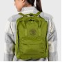 Рюкзак Fjallraven Re-Kanken Emerald