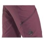 Штаны Black Diamond W Alpine Pants (Bordeaux, XS)