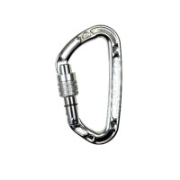 Карабін Climbing Technology Aerial Pro SG Silver