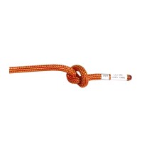 Веревка динамическая Climbing Technology Anacond 10 70м