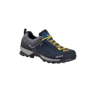 Кроссовки Salewa MS MTN Trainer GTX