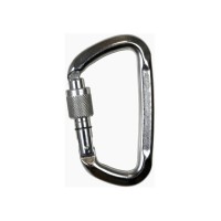 Карабін Climbing Technology D-Shape SG (silver)