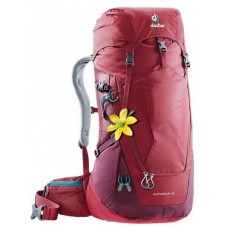 Рюкзак Deuter Futura 24 SL цвет 2247 seagreen-forest