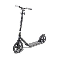 Самокат Frenzy Recreational 250mm
