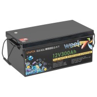 Литий-ферумный аккумулятор Weekender LiFeP04 12.8V 300Аh