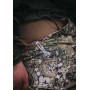 Нож-мультитул Leatherman Free K4 Gray (832666)