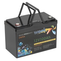 Литий-ферумный аккумулятор Weekender LiFeP04 12.8V 100Ah