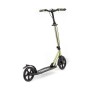 Самокат Frenzy Dual Brake Recreational