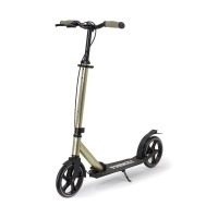 Самокат Frenzy Dual Brake Recreational