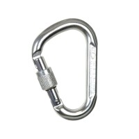 Карабін Climbing Technology Snappy SG (Полірований)
