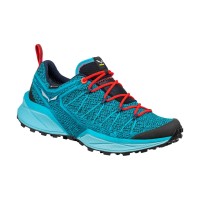 Кросівки Salewa WS DROPLINE