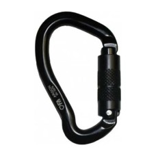 Карабин First Ascent Argon