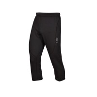 Бриджи Directalpine Cima Plus Pants 3.0