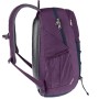 Рюкзак Deuter Gogo цвет 5334 plum-ink