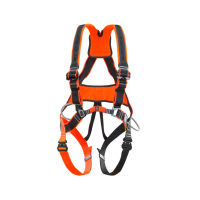 Страховочная система Climbing Technology Work TEC QR (2017)
