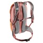 Рюкзак Deuter Race 12 цвет 9512 chestnut-redwood