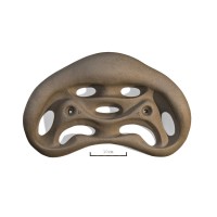 Фингерборд Ukrholds Fingerboard