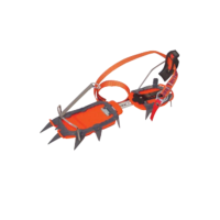 Кішки Climbing Technology Jannu Automatic