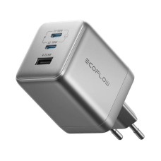 EcoFlow RAPID Pro Charger (100W)
