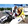 Надувная лодка Brig Dingo D265W (белая)