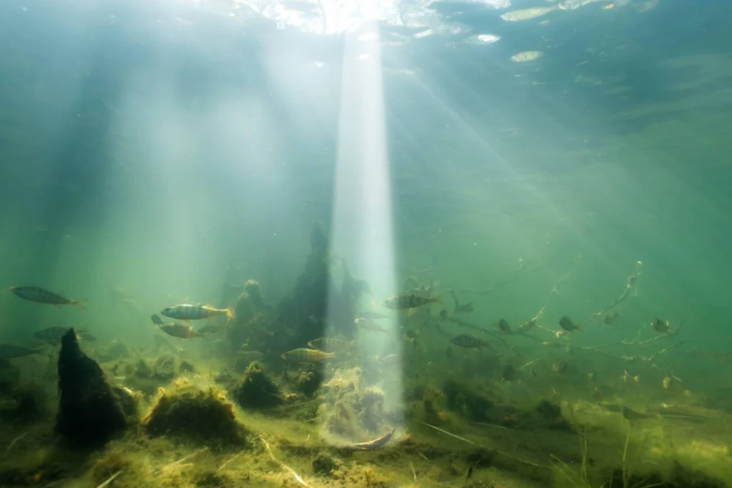 Deeper Smart Sonar Chirp+ 4