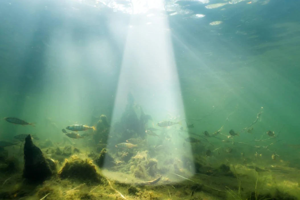 Deeper Smart Sonar Chirp+ 4