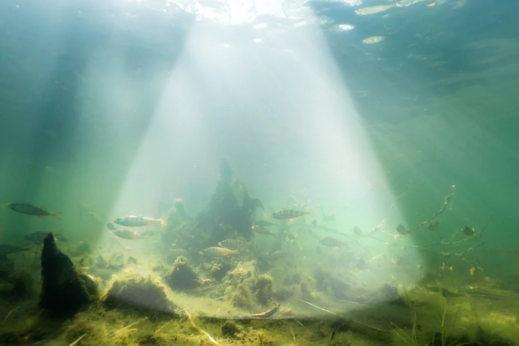 Deeper Smart Sonar Chirp+ 4