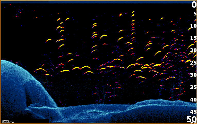 Lowrance Fishreveal