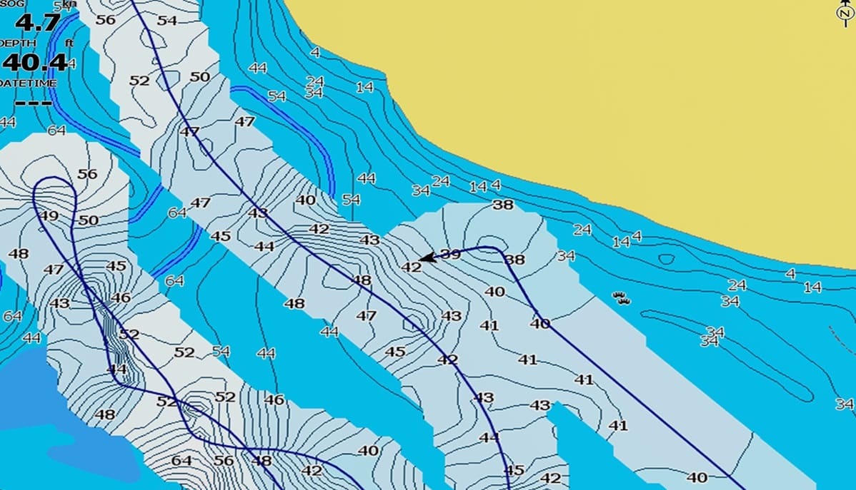 Lowrance Genesis live